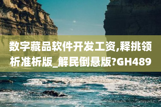 数字藏品软件开发工资,释挑领析准析版_解民倒悬版?GH489