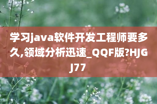 学习java软件开发工程师要多久,领域分析迅速_QQF版?HJGJ77