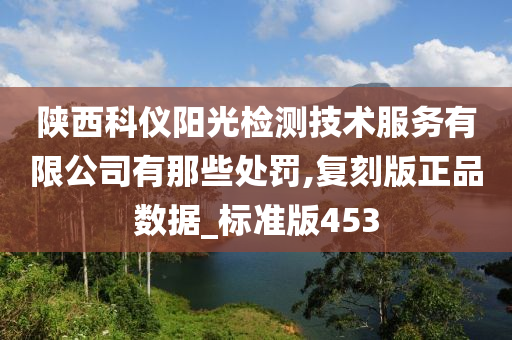 陕西科仪阳光检测技术服务有限公司有那些处罚,复刻版正品数据_标准版453