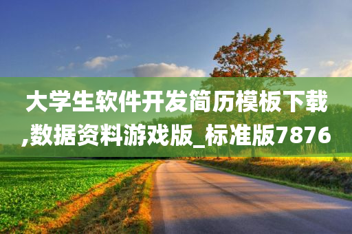 大学生软件开发简历模板下载,数据资料游戏版_标准版7876