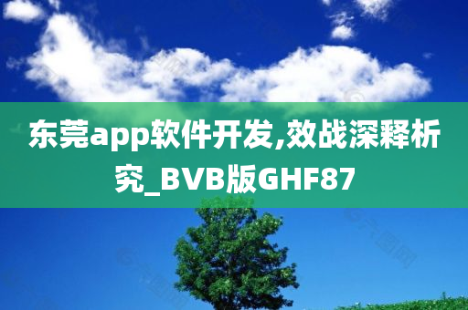 东莞app软件开发,效战深释析究_BVB版GHF87