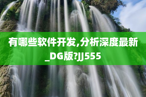 有哪些软件开发,分析深度最新_DG版?JJ555