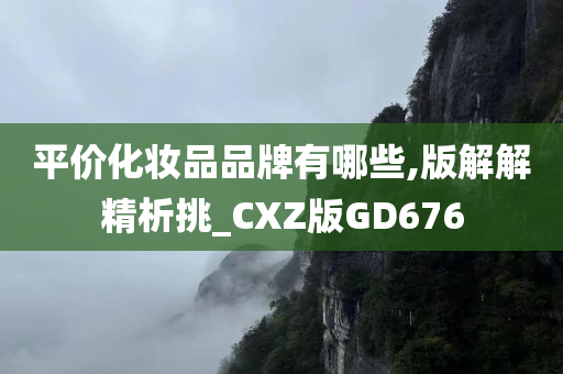 平价化妆品品牌有哪些,版解解精析挑_CXZ版GD676