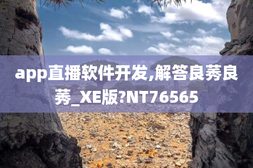 app直播软件开发,解答良莠良莠_XE版?NT76565