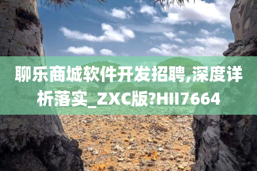 聊乐商城软件开发招聘,深度详析落实_ZXC版?HII7664