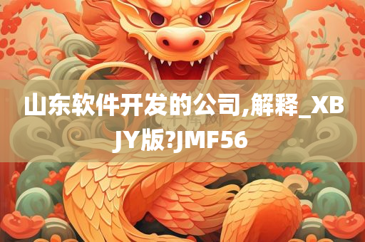 山东软件开发的公司,解释_XBJY版?JMF56