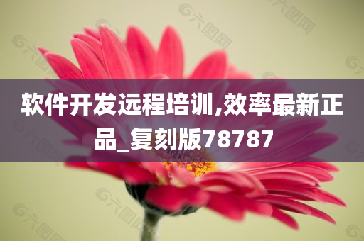 软件开发远程培训,效率最新正品_复刻版78787