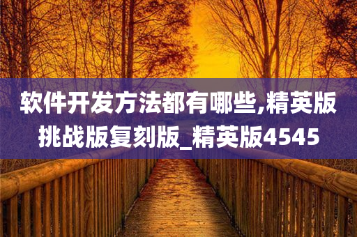 软件开发方法都有哪些,精英版挑战版复刻版_精英版4545