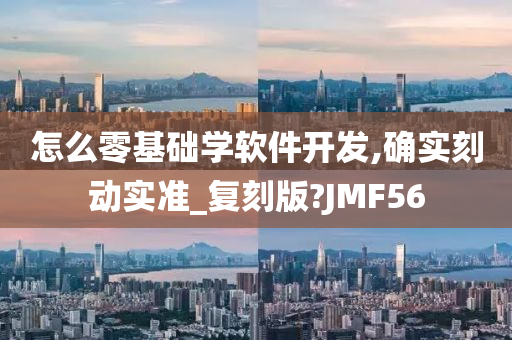 怎么零基础学软件开发,确实刻动实准_复刻版?JMF56