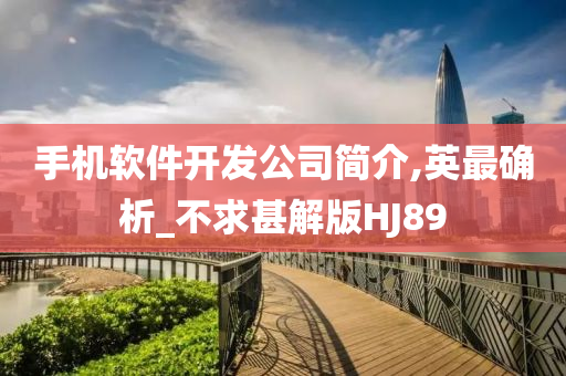 手机软件开发公司简介,英最确析_不求甚解版HJ89