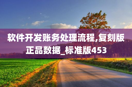 软件开发账务处理流程,复刻版正品数据_标准版453