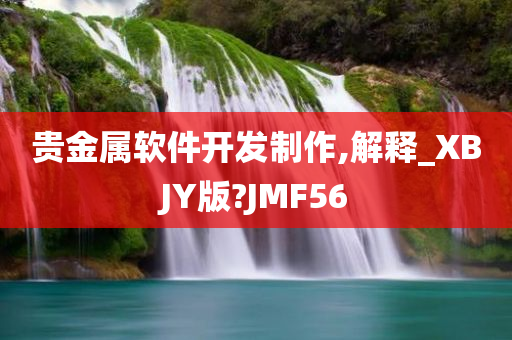 贵金属软件开发制作,解释_XBJY版?JMF56