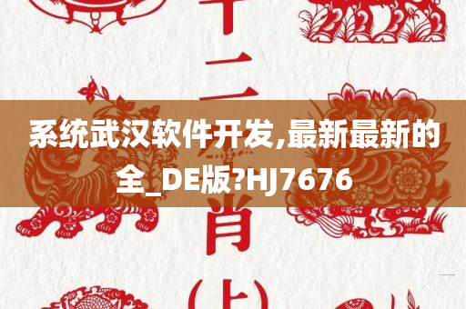 系统武汉软件开发,最新最新的全_DE版?HJ7676