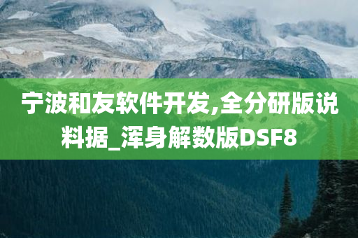 宁波和友软件开发,全分研版说料据_浑身解数版DSF8