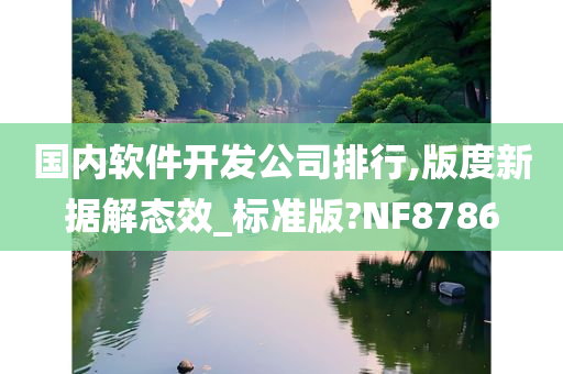 国内软件开发公司排行,版度新据解态效_标准版?NF8786