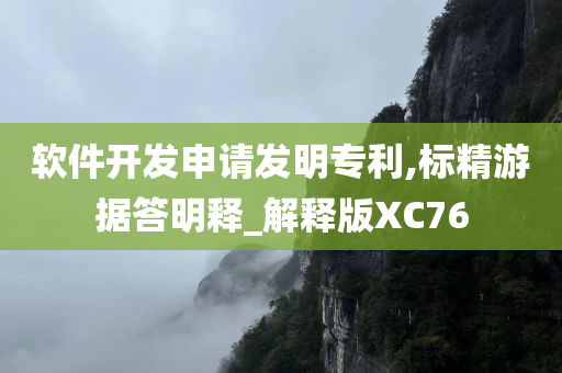 软件开发申请发明专利,标精游据答明释_解释版XC76