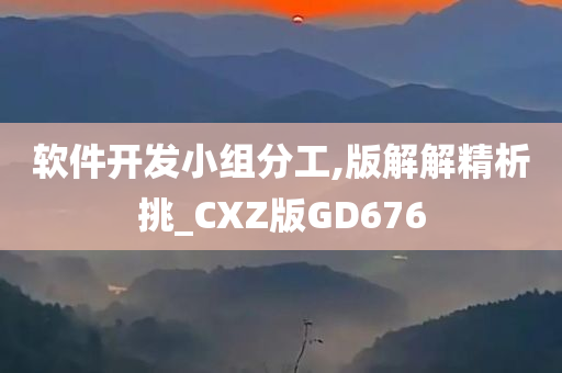 软件开发小组分工,版解解精析挑_CXZ版GD676