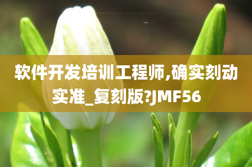 软件开发培训工程师,确实刻动实准_复刻版?JMF56