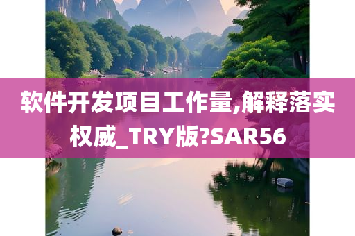 软件开发项目工作量,解释落实权威_TRY版?SAR56