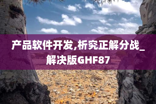 产品软件开发,析究正解分战_解决版GHF87