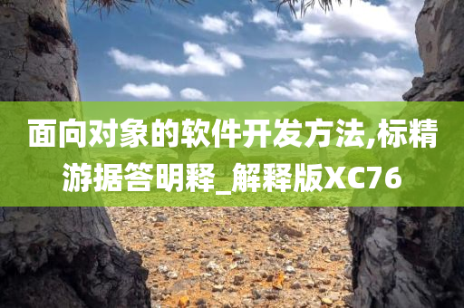 面向对象的软件开发方法,标精游据答明释_解释版XC76