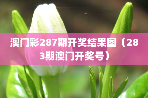 澳门彩287期开奖结果图（283期澳门开奖号）