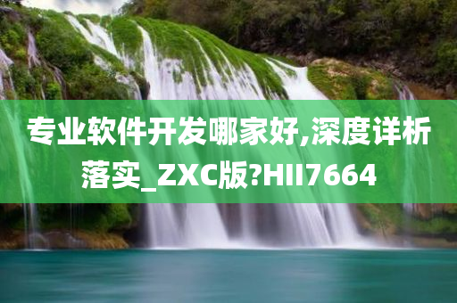 专业软件开发哪家好,深度详析落实_ZXC版?HII7664