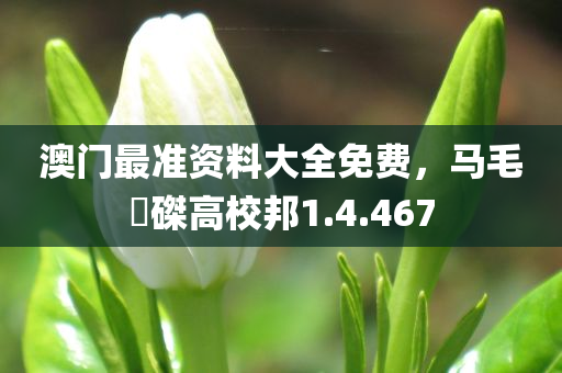 澳门最准资料大全免费，马毛蝟磔高校邦1.4.467