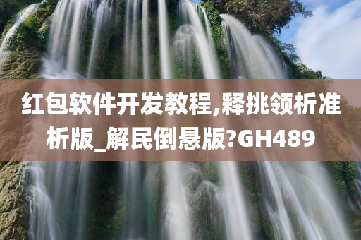 红包软件开发教程,释挑领析准析版_解民倒悬版?GH489