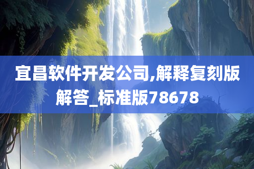 宜昌软件开发公司,解释复刻版解答_标准版78678