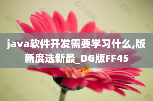 java软件开发需要学习什么,版新度选新最_DG版FF45