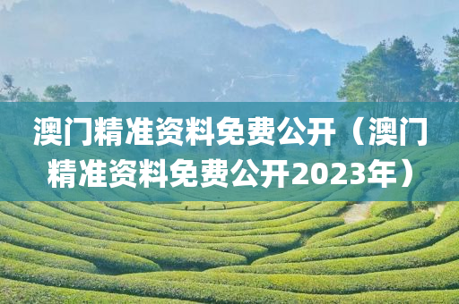 澳门精准资料免费公开（澳门精准资料免费公开2023年）