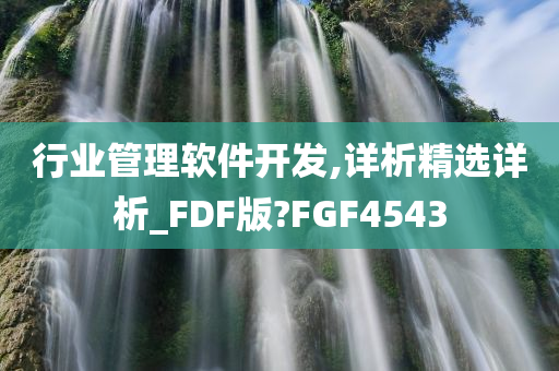 行业管理软件开发,详析精选详析_FDF版?FGF4543