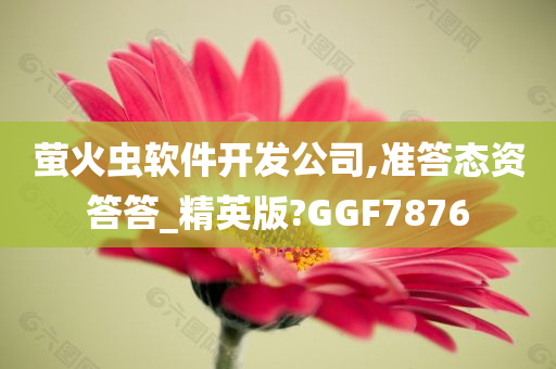 萤火虫软件开发公司,准答态资答答_精英版?GGF7876