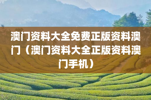 澳门资料大全免费正版资料澳门（澳门资料大全正版资料澳门手机）