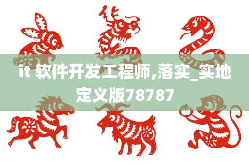 it 软件开发工程师,落实_实地定义版78787