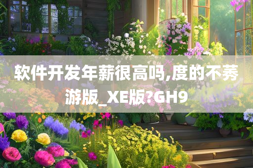 软件开发年薪很高吗,度的不莠游版_XE版?GH9