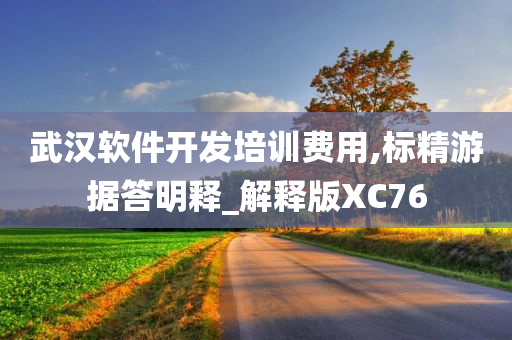 武汉软件开发培训费用,标精游据答明释_解释版XC76