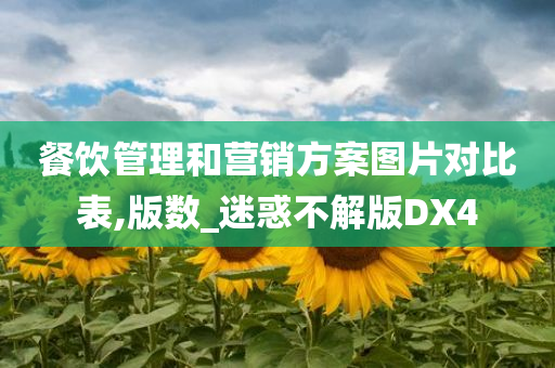 餐饮管理和营销方案图片对比表,版数_迷惑不解版DX4