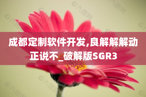 成都定制软件开发,良解解解动正说不_破解版SGR3