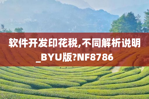 软件开发印花税,不同解析说明_BYU版?NF8786