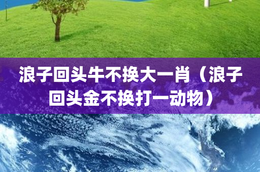 浪子回头牛不换大一肖（浪子回头金不换打一动物）