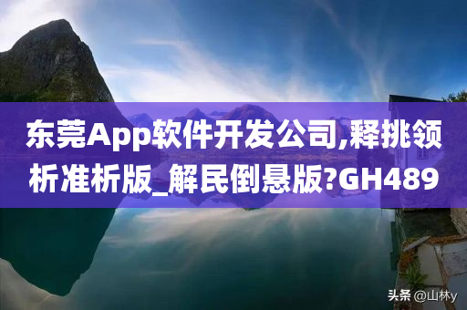 东莞App软件开发公司,释挑领析准析版_解民倒悬版?GH489