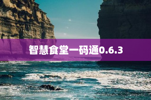 智慧食堂一码通0.6.3