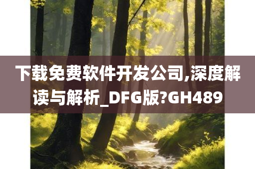 下载免费软件开发公司,深度解读与解析_DFG版?GH489