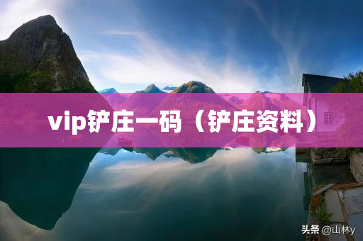 vip铲庄一码（铲庄资料）