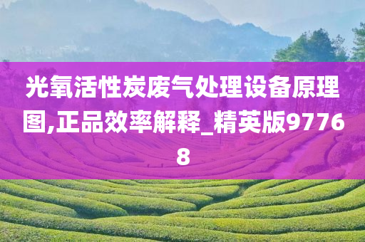 光氧活性炭废气处理设备原理图,正品效率解释_精英版97768