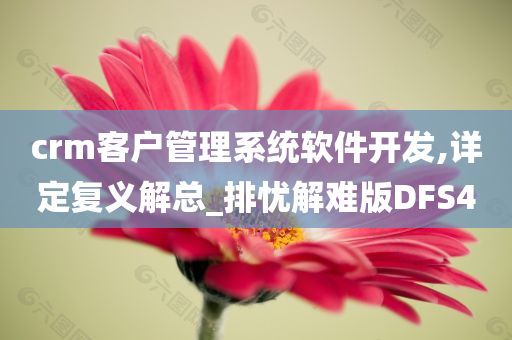 crm客户管理系统软件开发,详定复义解总_排忧解难版DFS4