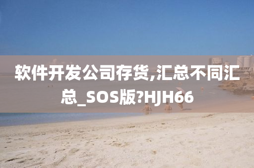 软件开发公司存货,汇总不同汇总_SOS版?HJH66