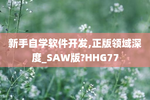 新手自学软件开发,正版领域深度_SAW版?HHG77